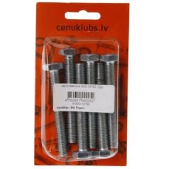 Iep.bultskrūve 933-10*80  6gb.