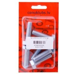 Iep.bultskrūve 933-12*40 6gb.
