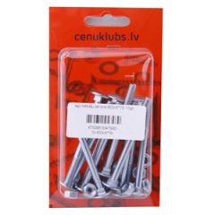 Iep.mēbeļu skrūve 603-6*70 10gb.