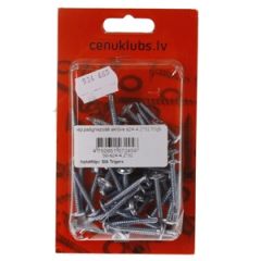 Iep.pašgriezošā skrūve s24-4.2*32 50gb.