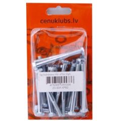 Iep.bultskrūve 931-6x60 20gab