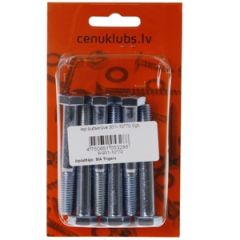 Iep.bultskrūve 931-10*70 6gb.