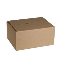 Kartona kaste 253 x195 x 120 mm/B40RTT