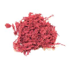 Dekors Sūnas krāsotas sarkanas