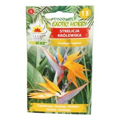 Sēklas Strelīcijas karaliskās