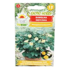 Sēklas kokvilnas lakstainā 8gab.