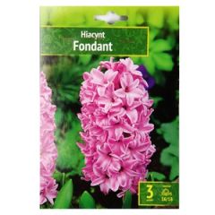 Sīpolpuķes Hiacintes Fondant 3gab