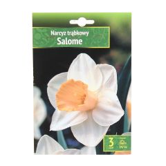 Sīpolpuķes Narcises Salome