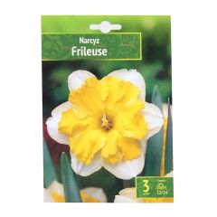 Sīpolpuķes Narcises Frileuse 3gab