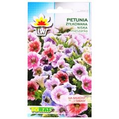 Sēklas Petūnijas daudzziedu zemās 0.1g