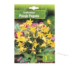 Sīpolpuķes Eritronijas Pagoda