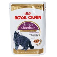 Konservi kaķiem RC British shorthair 85g