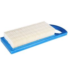 Gaisa filtrs B&S 30-829