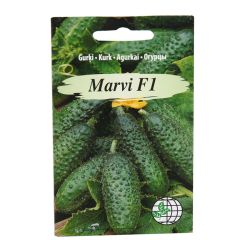 Sēklas Gurķi Marvi F1 AMC 12gab.