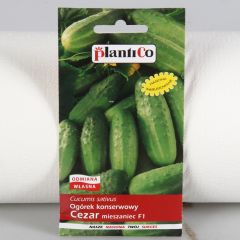 Sēklas Gurķi Cezar 5g