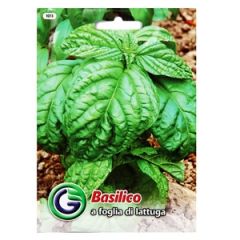 Sēklas Baziliks 4.5g