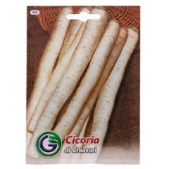 Sēklas cigoriņi sakņu 11g GS