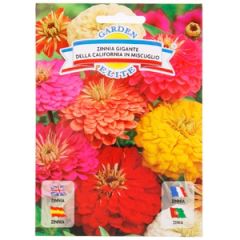 Sēklas cinnija lielziedu, pildīta, mix