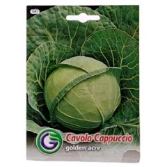 Sēklas galviņkāposti 'Golden Acre' 5g GS