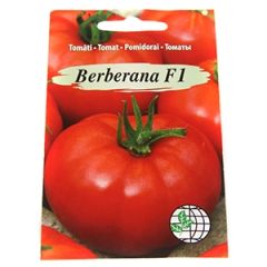 Sēklas Tomāti Berberana F1 7sēklas
