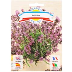 Sēklas lavanda 0.5g GS