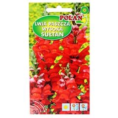 Sēklas Lauvmutītes Sultan sarkanas, 70cm 0.5g