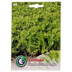 Sēklas salāti 'Bionda Riccia' 9g GS