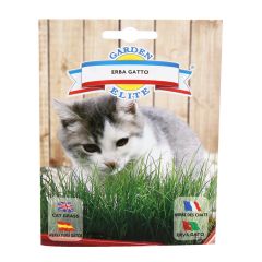 Sēklas Kaķu zāle 3.5g