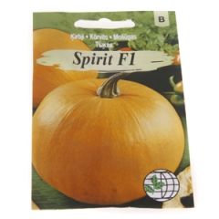 Sēklas Ķirbis Spirit F1 5 sēklas