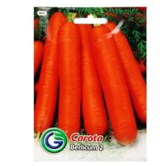 Sēklas Burkāni Berlicum 2 7g