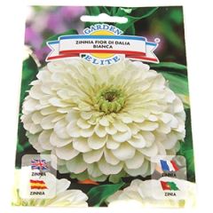 Sēklas Cinnija balta 1g