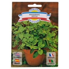 Sēklas Majorāns 1g