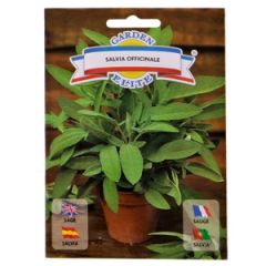 Sēklas Salvija ārstnieciskā 1g