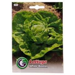 Sēklas Salāti Attraction 6.5g