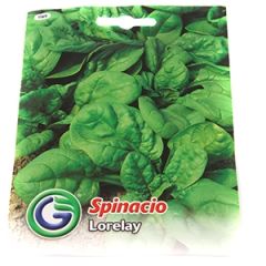 Sēklas Spināti Lorelay 17g