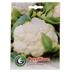 Sēklas Ziedkāposti Palla di Neva 2g