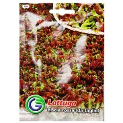 Sēklas Salāti lapu Biscia rossa 9g