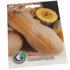 Sēklas Ķirbis Butternut Rugosa 3.5g