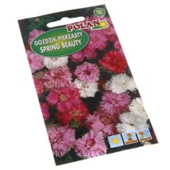 Sēklas Neļķītes spalvu Spring Beauty 0.3g