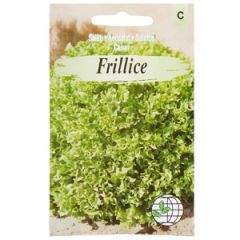 Sēklas Salāti Frillice AMC 18 gran.