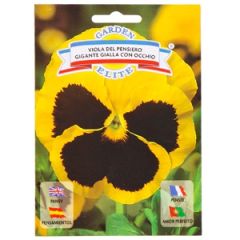 Sēklas Atraitnīte dzeltena ar melnu acti