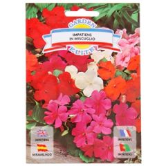 Sēklas Balzamīne mix 0.3g GS