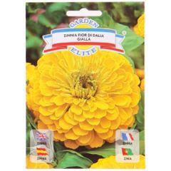 Sēklas Cinnija dzeltena 1g GS