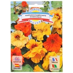 Sēklas Kreses pildītas maisījums 3g GS