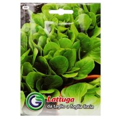 Sēklas Salāti galviņu Nadine AMC 30gran.