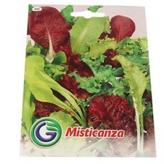 Sēklas Salātu maisījums 12g GS