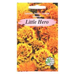 Sēklas Samtene Little Hero mix AMC 30s