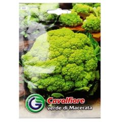 Sēklas Ziedkāposti Verde di Macerata 2g GS