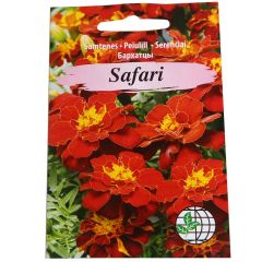 Sēklas Samtenes Safari sark. AMC 30sēkl.