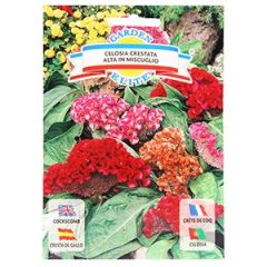 Sēklas Celozija sekstainā 0.8g